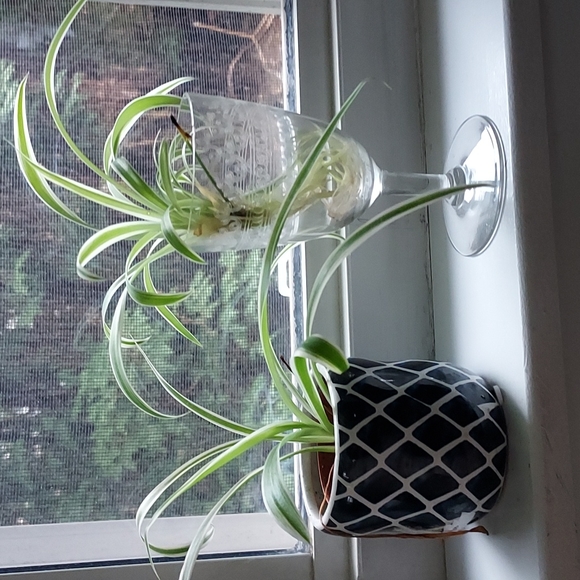 Crystal wine glasses etched scroll art deco art nouveau mcm retro - Picture 14 of 14